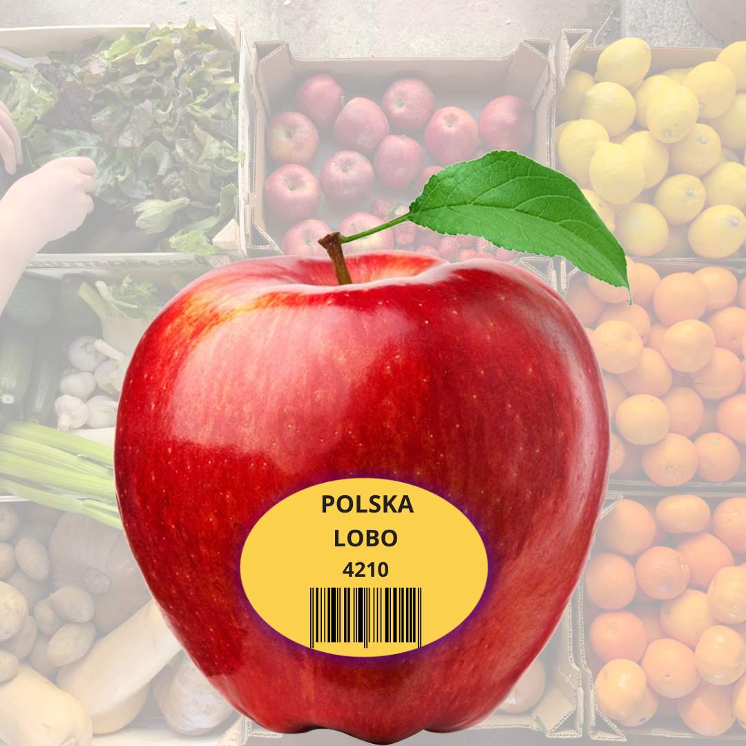 KLEJ DO PRODUKCJI ETYKIET PRZEZNACZONYCH DO KONTAKTU Z ŻYWNOŚCIĄ – ADMELT® 4312E